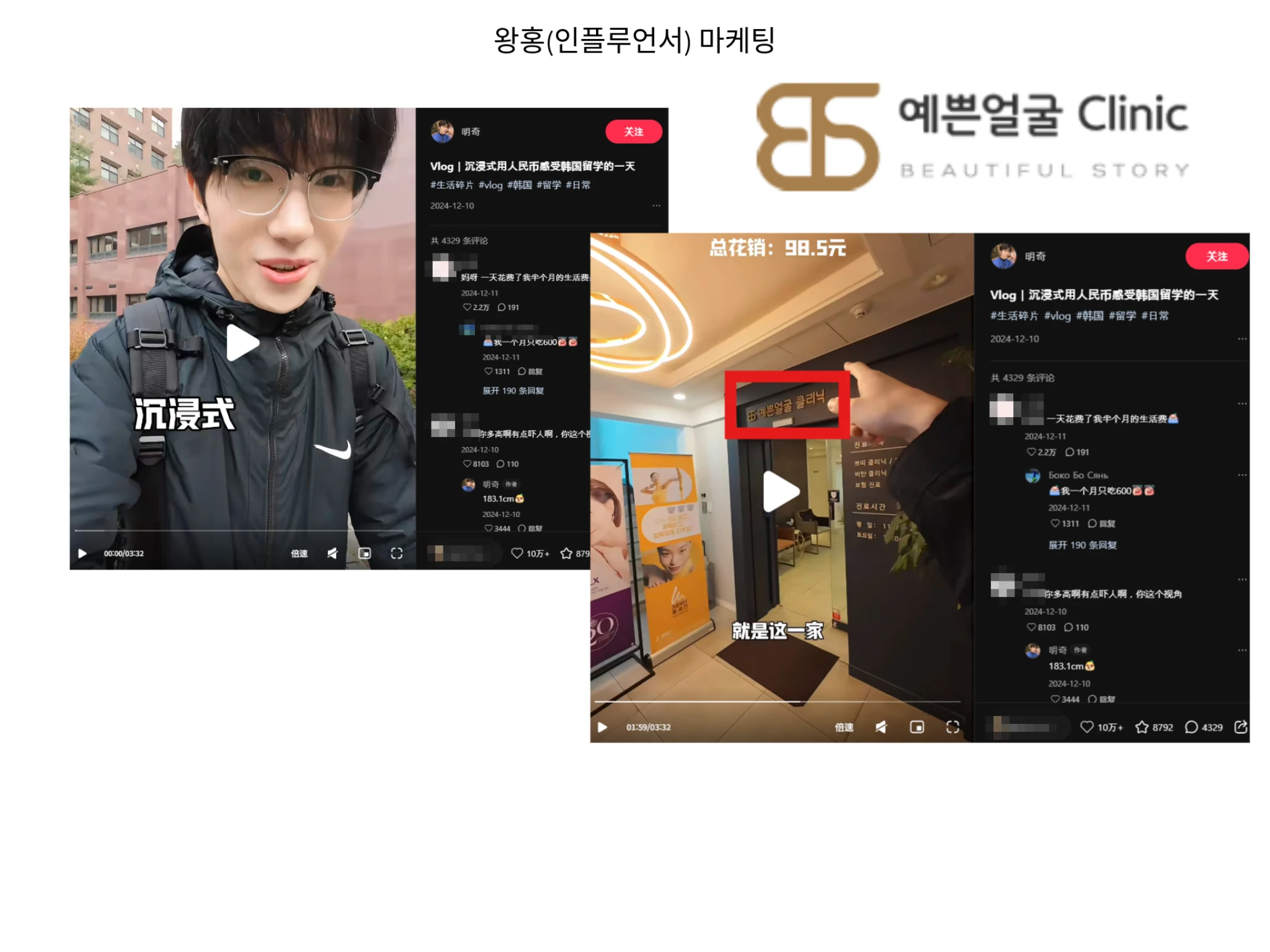 Cristina Micu Project